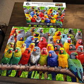 Caleidoscopio de plumas rompecabezas rompecabezas 1000 piezas